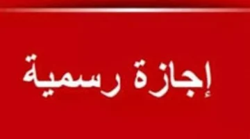 أجر مضاعف.. ضوابط صرف مستحقات الموظفين مقابل العمل خلال إجازة 25 يناير 2026